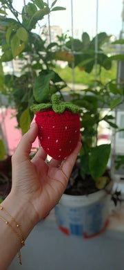 crochet pattern Cute Reversible Strawberry Doll Amigurumi