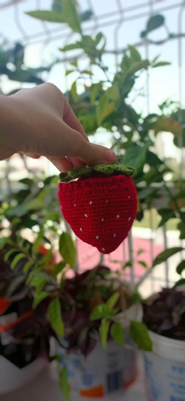 crochet pattern Cute Reversible Strawberry Doll Amigurumi