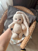 Crochet pattern plush bunny