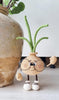 Crochet ONION pattern